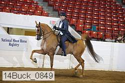 14buck_0849 proof