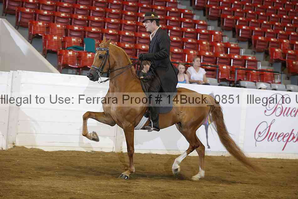 Proof 14buck_0851
