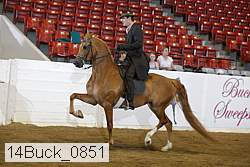 14buck_0851 proof