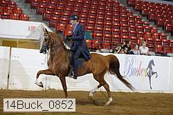 14buck_0852 proof
