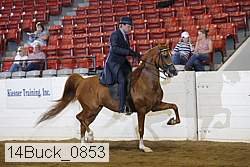 14buck_0853 proof