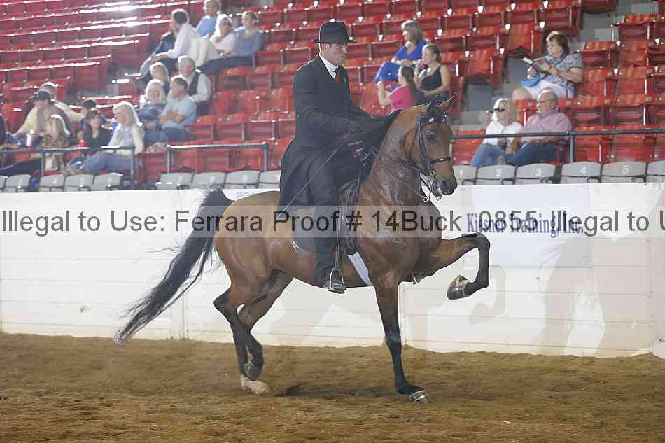 Proof 14buck_0855