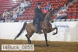 14buck_0855 proof