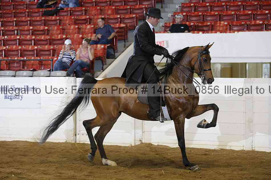 Proof 14buck_0856