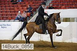 14buck_0856 proof