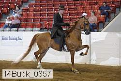 14buck_0857 proof
