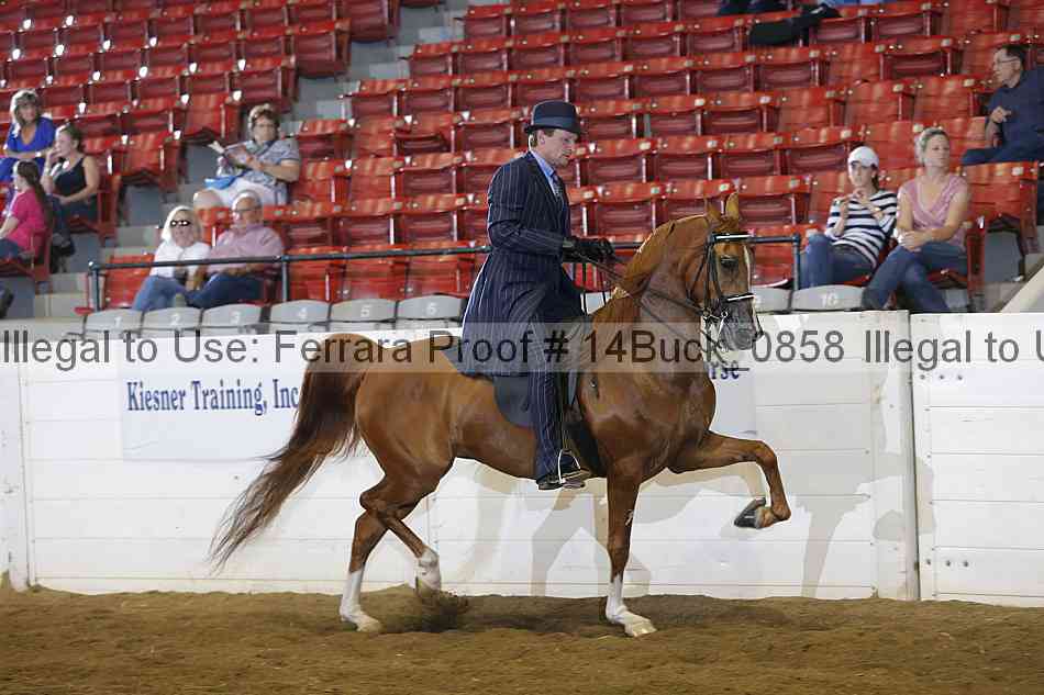 Proof 14buck_0858