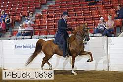 14buck_0858 proof
