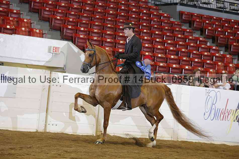 Proof 14buck_0859