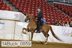 14buck_0859 proof