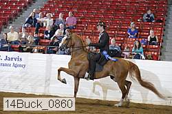 14buck_0860 proof