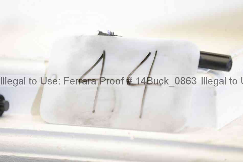 Proof 14buck_0863