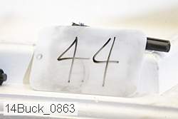 14buck_0863 proof