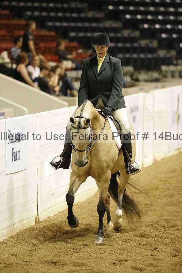 Proof 14buck_0866
