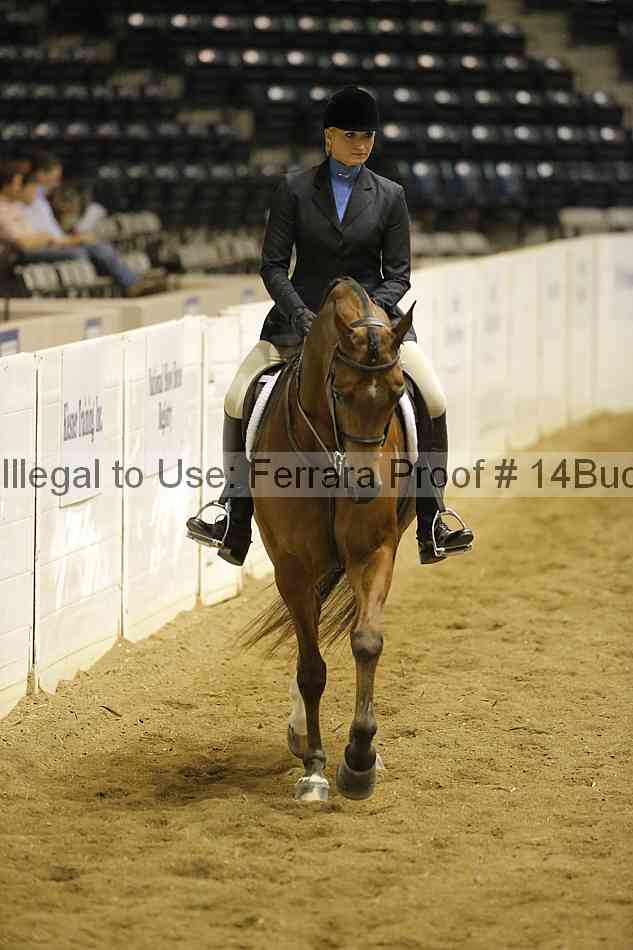 Proof 14buck_0868