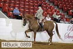14buck_0869 proof