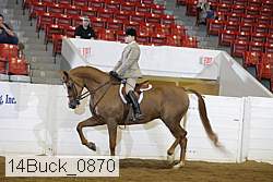 14buck_0870 proof