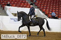14buck_0872 proof