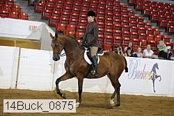 14buck_0875 proof