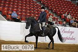 14buck_0879 proof