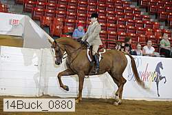 14buck_0880 proof