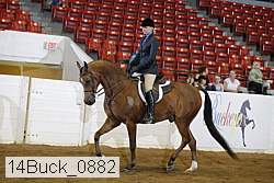 14buck_0882 proof