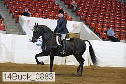 14buck_0883 proof
