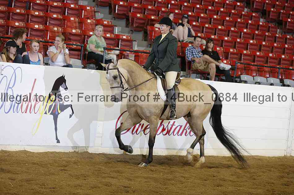 Proof 14buck_0884