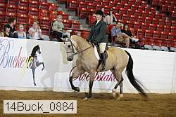14buck_0884 proof