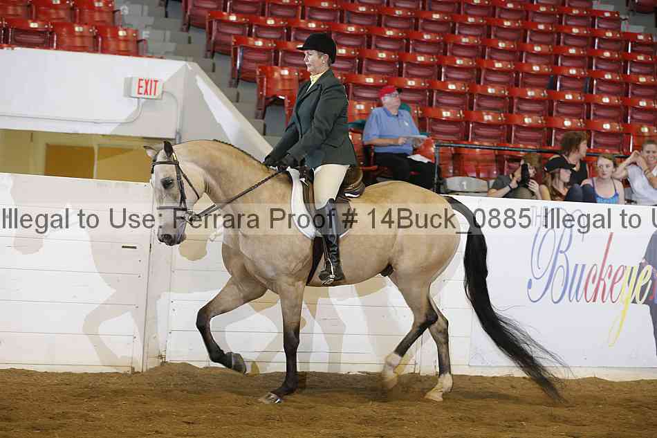 Proof 14buck_0885