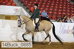 14buck_0885 proof