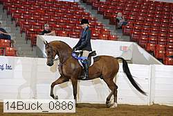 14buck_0886 proof