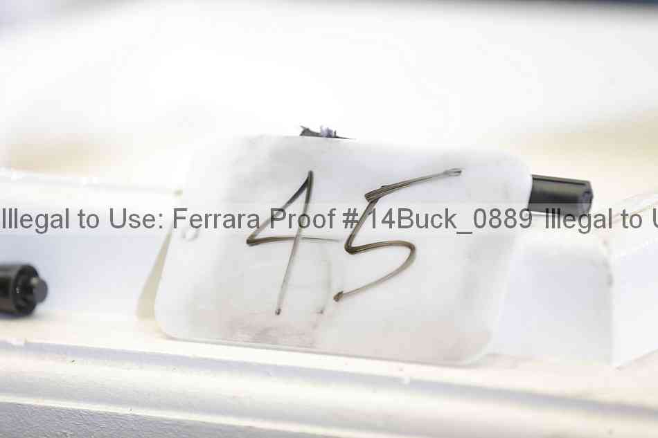 Proof 14buck_0889