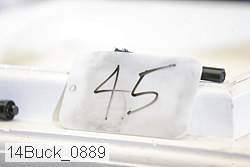 14buck_0889 proof