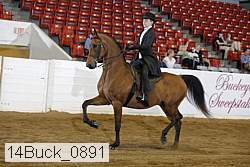 14buck_0891 proof