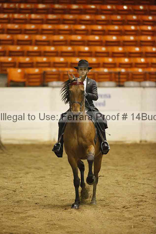 Proof 14buck_0894