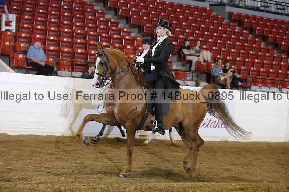 Proof 14buck_0895
