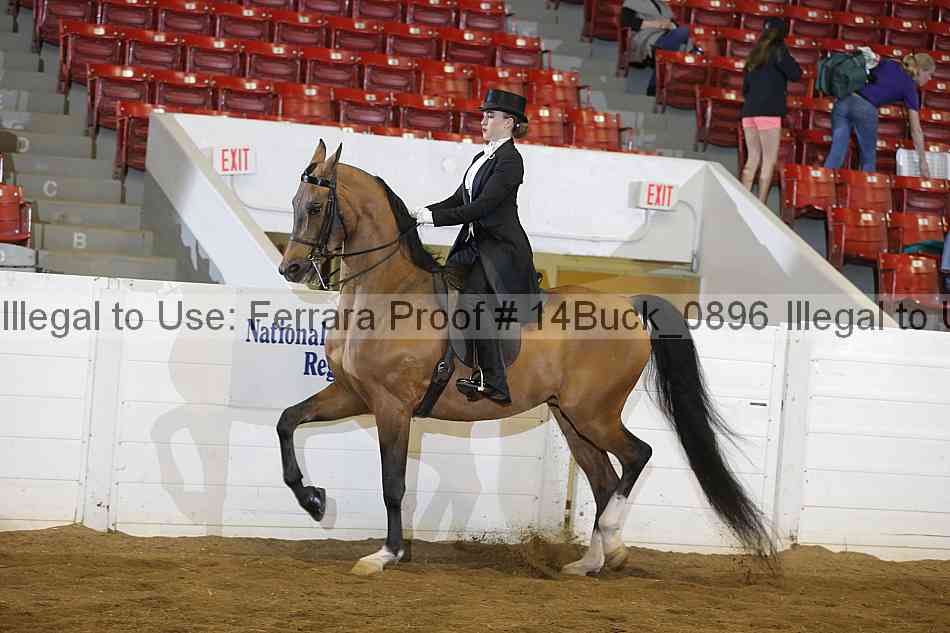 Proof 14buck_0896
