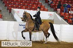 14buck_0896 proof