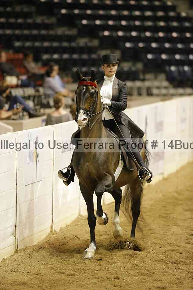 Proof 14buck_0897