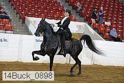 14buck_0898 proof
