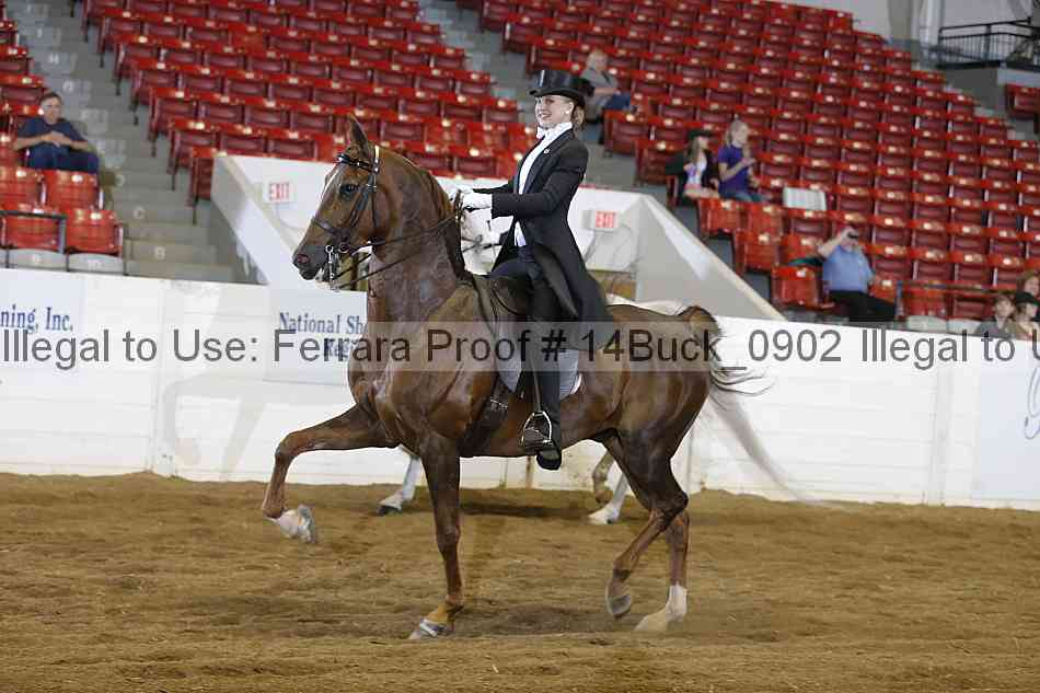 Proof 14buck_0902