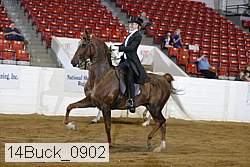 14buck_0902 proof