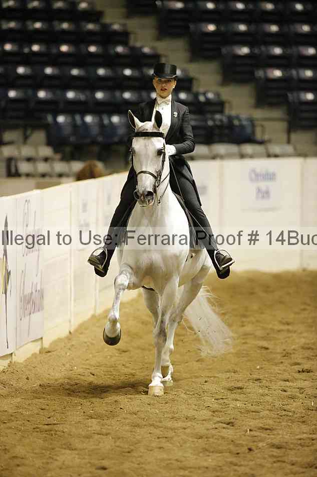 Proof 14buck_0903