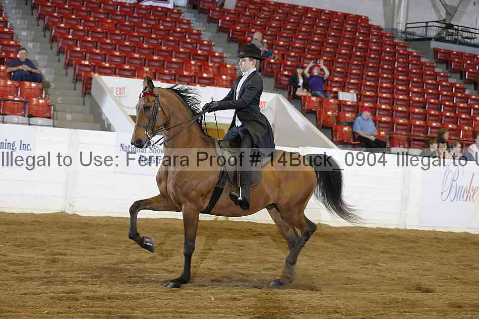 Proof 14buck_0904
