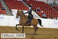14buck_0904 proof