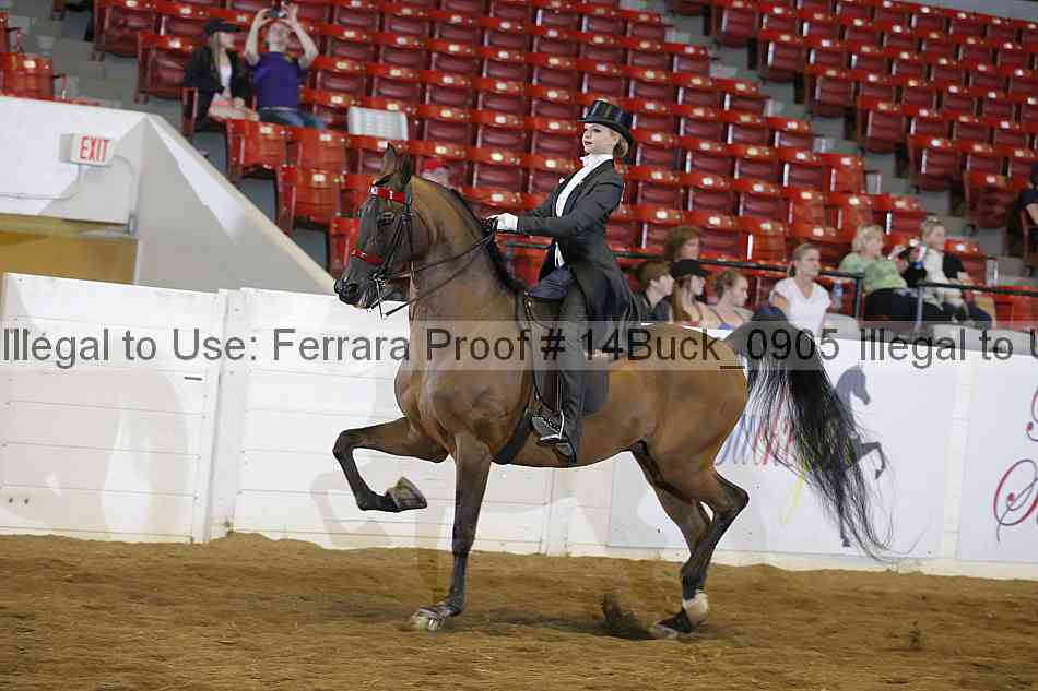 Proof 14buck_0905