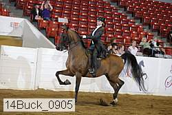 14buck_0905 proof