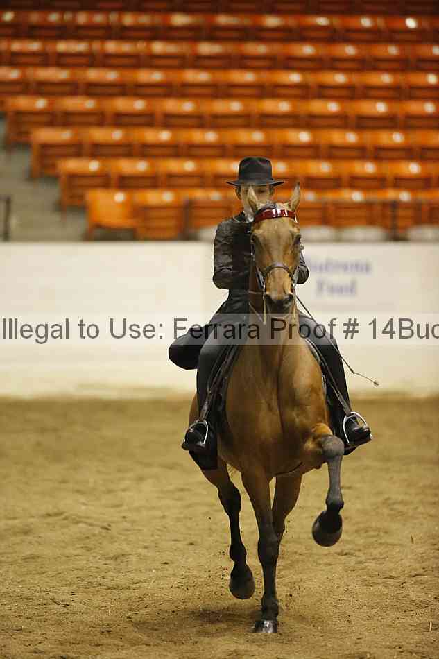 Proof 14buck_0906