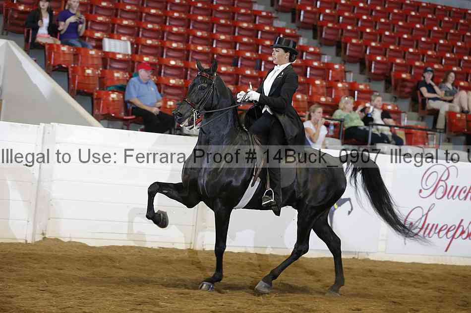 Proof 14buck_0907